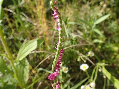 P6280083