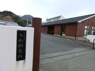 CIMG1818