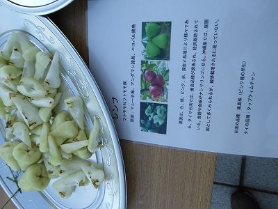 P1060376