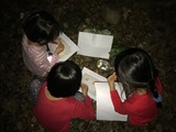 image1 (6)