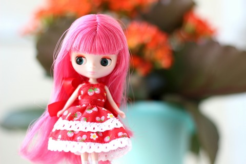 Blythe フィフティーンキャンドルズ ドール プチブライス フィフティーンキャンドル Petit Blythe・プチブライス