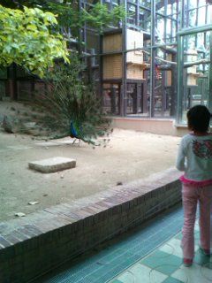 mini_120513_1532