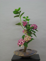 075f7524.jpg