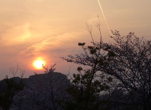 20150331 さくらと夕日