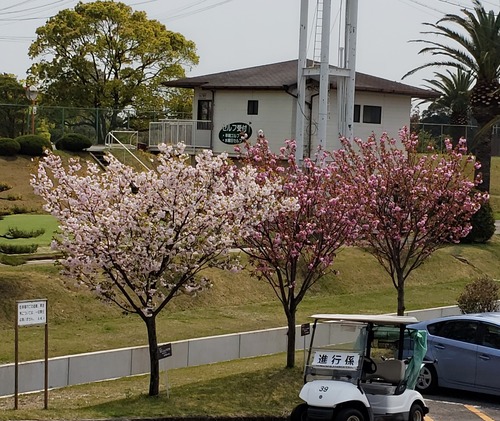 20190419_212518