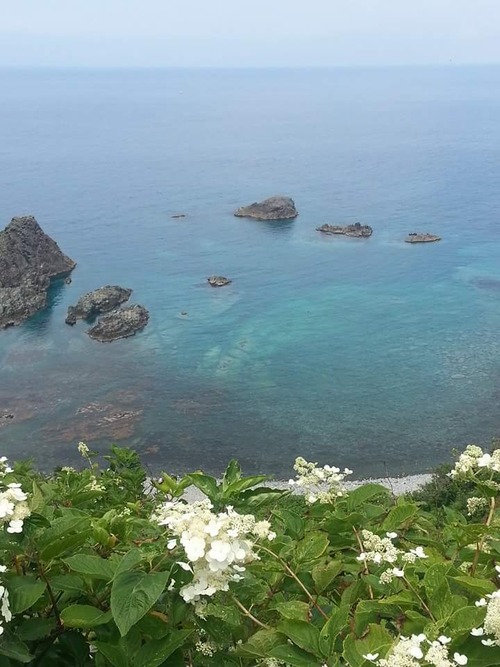 FB_IMG_1469186035332