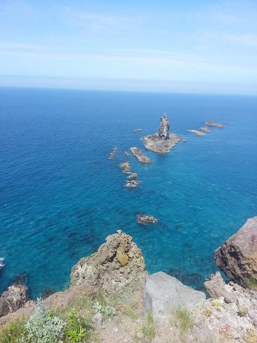 FB_IMG_1469186001738