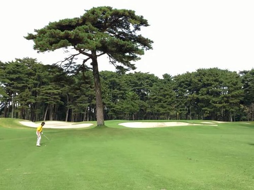 FB_IMG_1447741930942