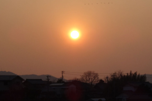 20150208 夕日