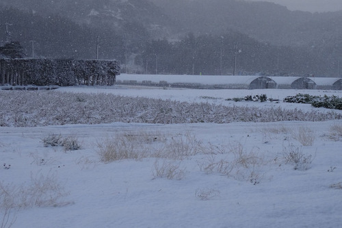 20141218　雪３