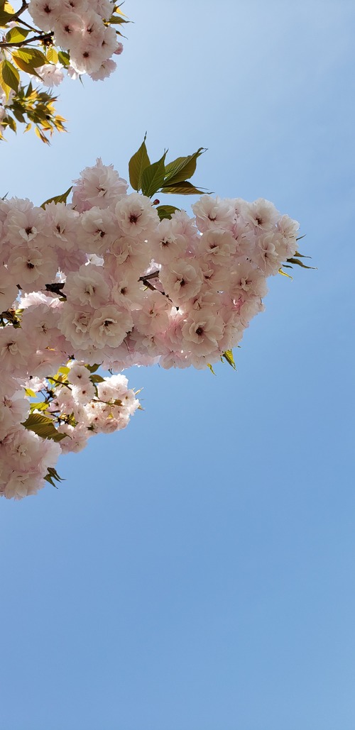 20190420_105801