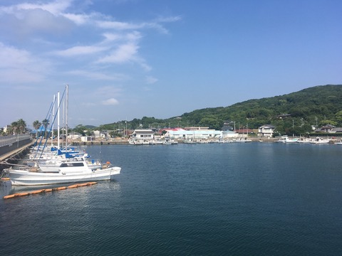 写真 2017-06-17 9 23 51 (1)