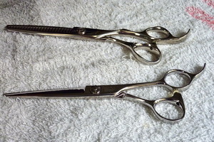 P1020439