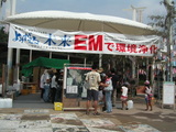 d188365f.JPG