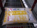 コストコ無洗米(こしひかり)