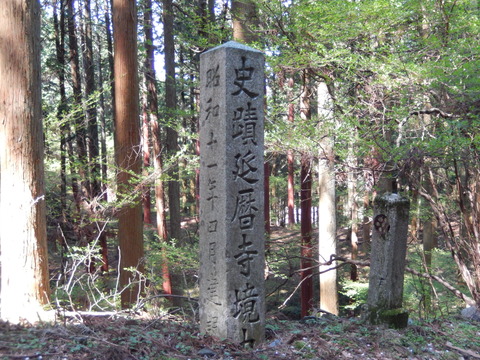 DSCN2216