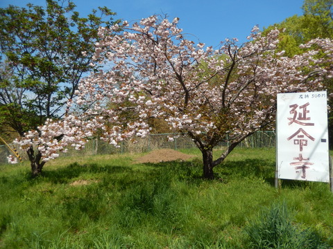 DSCN1878