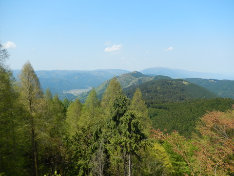 DSCN2190