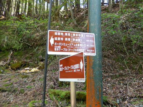 DSCN2158