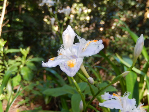 DSCN1957