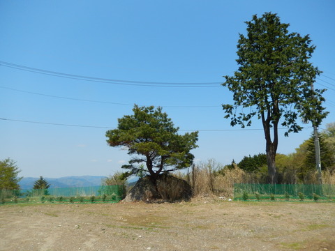 DSCN2169