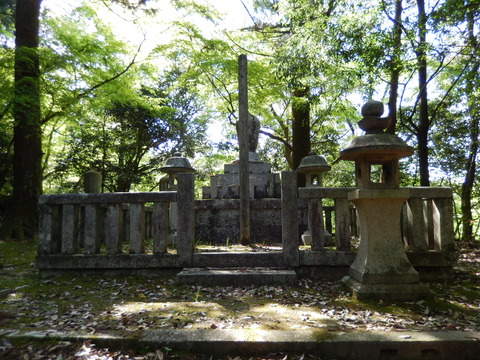 DSCN1959