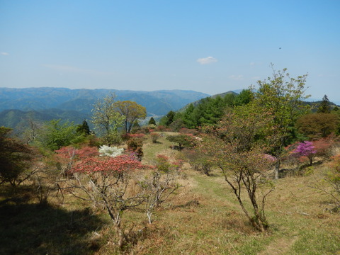 DSCN2177