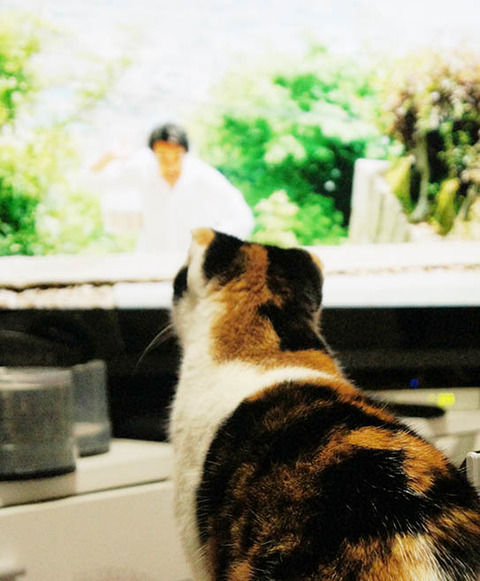 テレビたのしい