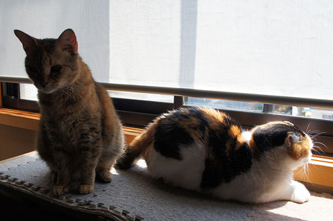 うろうろして16