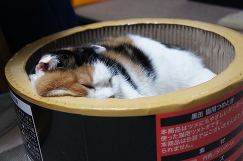 ふてくされちゅう