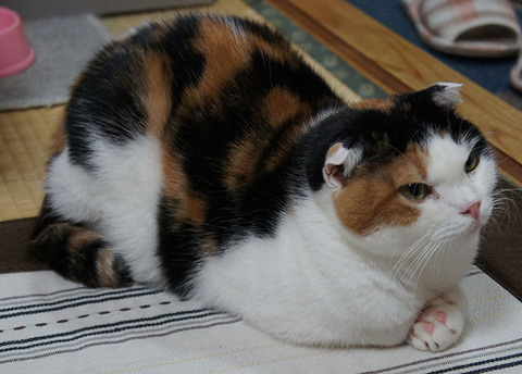 めずらしいところで