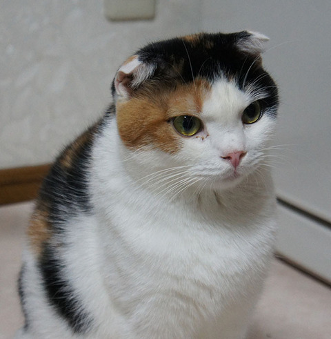 どうしよう2