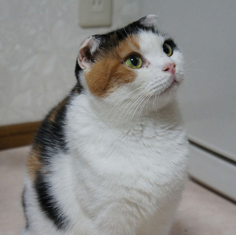どうしよう3