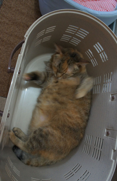 病院に2