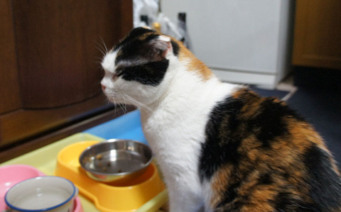 帰って来た6