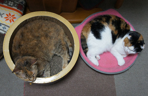 まるくならんで6