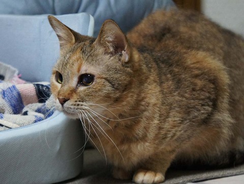 どうしたのかな5