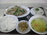 �����ڡ���䥷���˥顦�֤��꿩