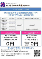 maidreaminvoice03