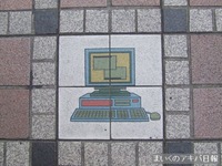 08031304