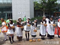 12080404
