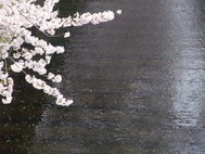 中目黒04