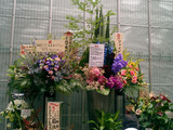 ナディッフ花