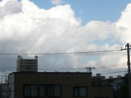 P1020593