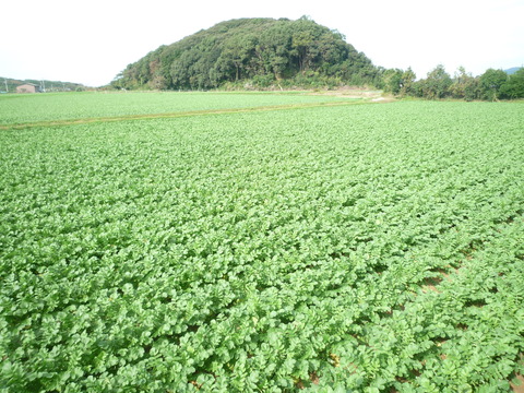 P1030048