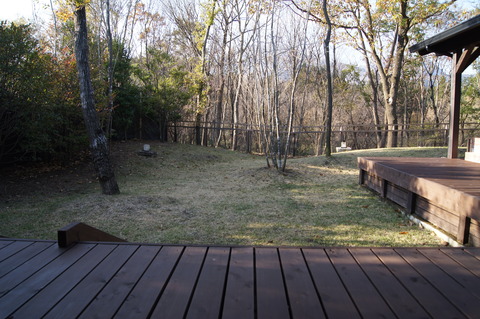 DSC07619