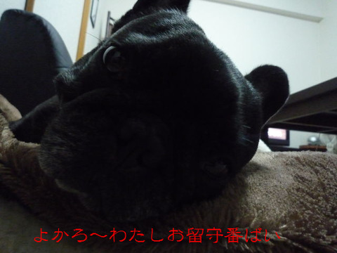 BlogPaint