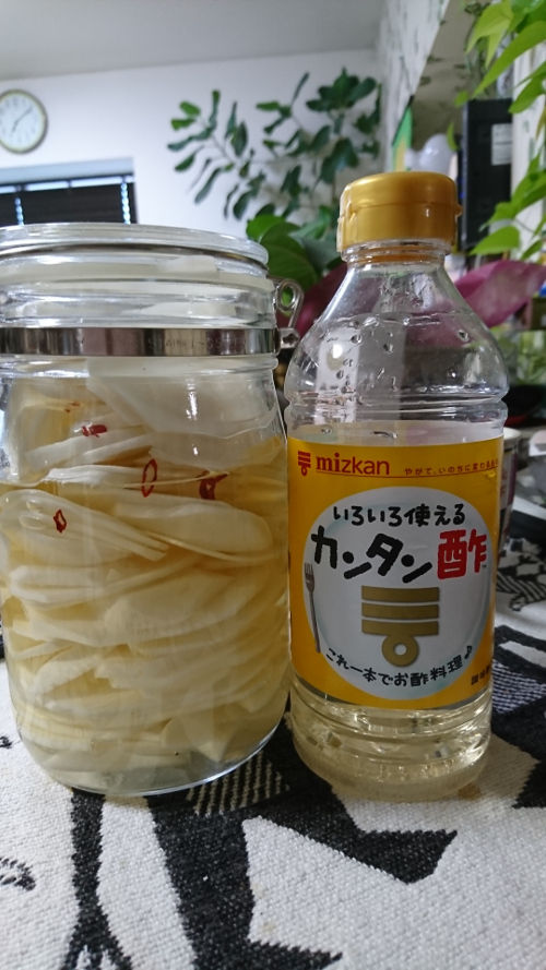 DSC_こかぶ漬け