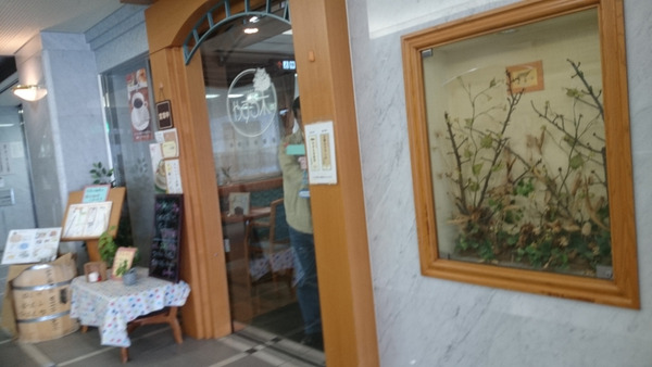 DSC_喫茶店