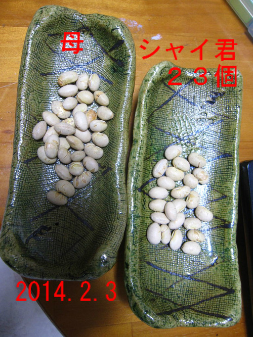 BlogPaint